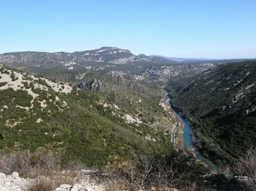 une mosaiques de paysage un esprit des lieux